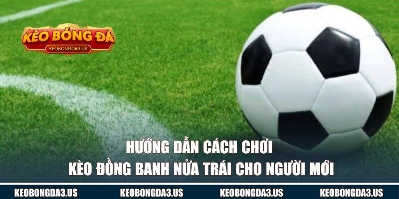 Hướng dẫn cách cược kèo đồng banh nửa trái cho newbie