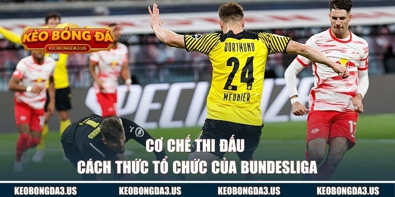 Cơ chế thi đấu và cách thức tổ chức của Bundesliga