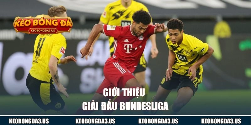 Giới thiệu giải đấu Bundesliga