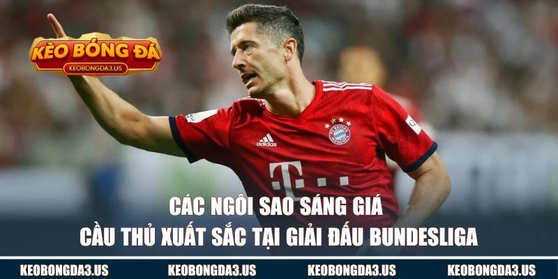 Các ngôi sao sáng giá và cầu thủ xuất sắc tại giải đấu Bundesliga