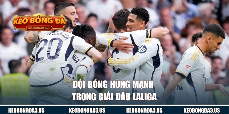 Một số đội bóng hùng mạnh trong giải đấu