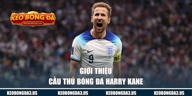 Giới thiệu cầu thủ bóng đá Harry Kane