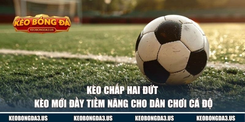 Kèo Chấp Hai Đứt | Kèo Mới Đầy Tiềm Năng Cho Dân Chơi Cá Độ