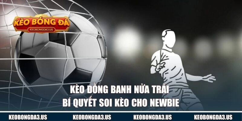 Kèo Đồng Banh Nửa Trái | Bí Quyết Soi Kèo Cho Newbie