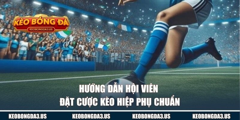 Bật mí quy trình đặt ván siêu hiệu quả