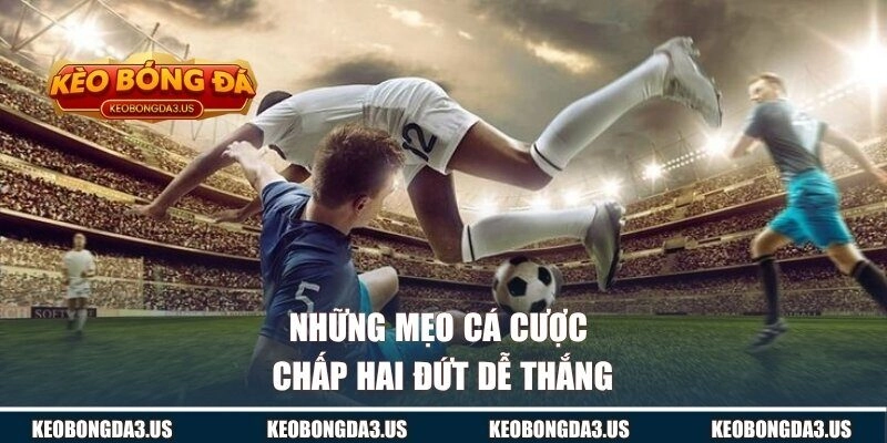 Những mẹo cá cược chấp hai đứt dễ thắng