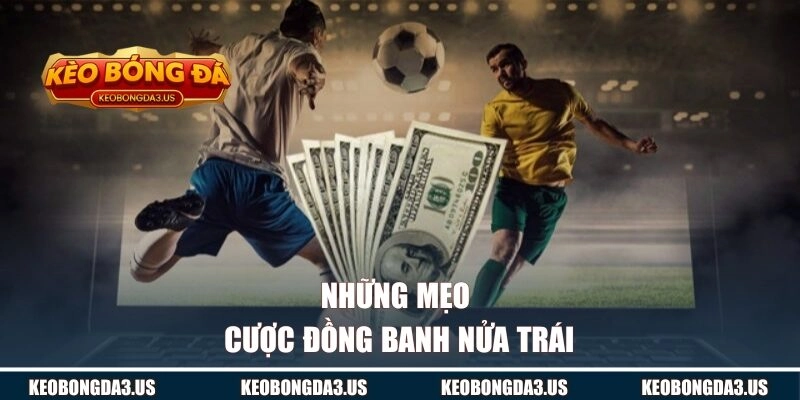 Những mẹo cược đồng banh nửa trái