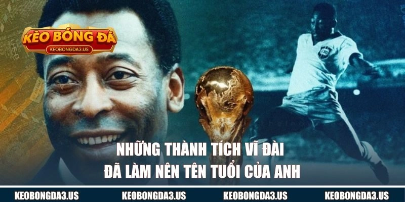 Những thành tích vĩ đài đã làm nên tên tuổi của anh