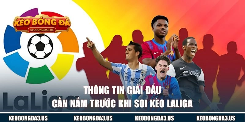 Thông tin giải đấu cần nắm trước khi soi kèo Laliga