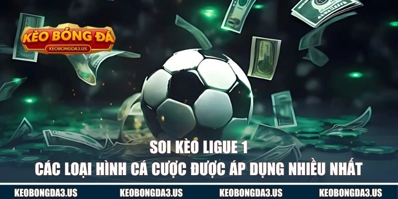 Các loại hình cá cược được áp dụng nhiều nhất