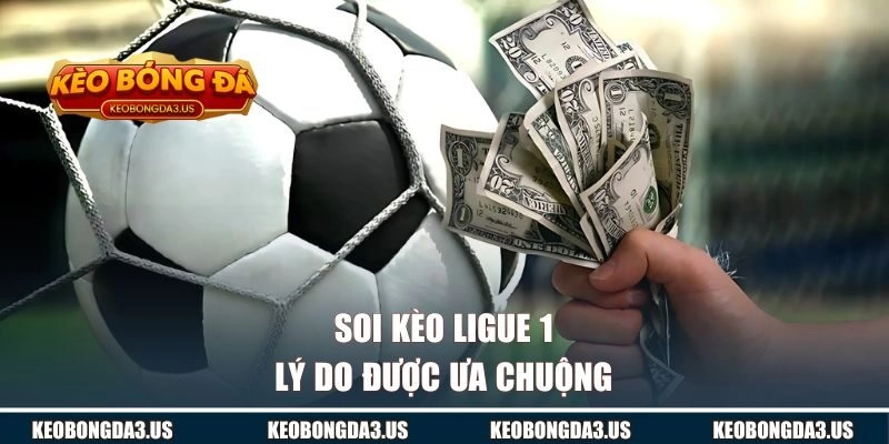 Lý do soi kèo Ligue 1 tại KÈO BÓNG ĐÁ được ưa chuộng