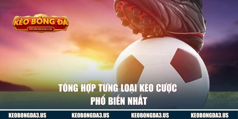 Tổng hợp từng loại kèo cược phổ biến nhất