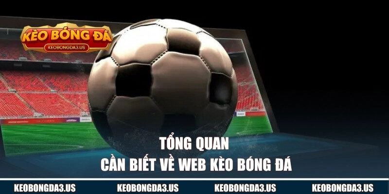 Tổng quan cần biết về web KÈO BÓNG ĐÁ