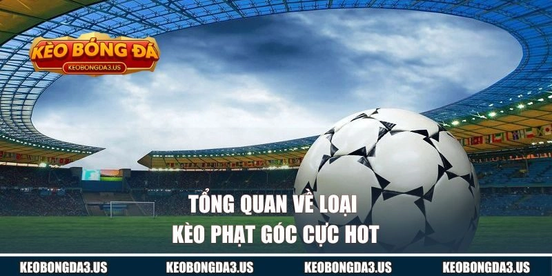 Tổng quan về loại kèo phạt góc cực hot