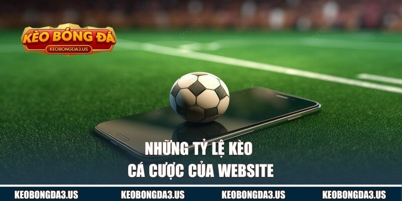 Những tỷ lệ kèo của website